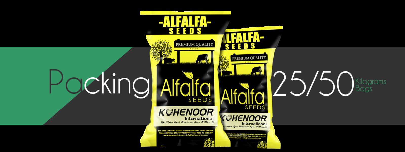 KOHENOOR alfalfa seed packing operation in Karachi with lot-tagged bags ready for export