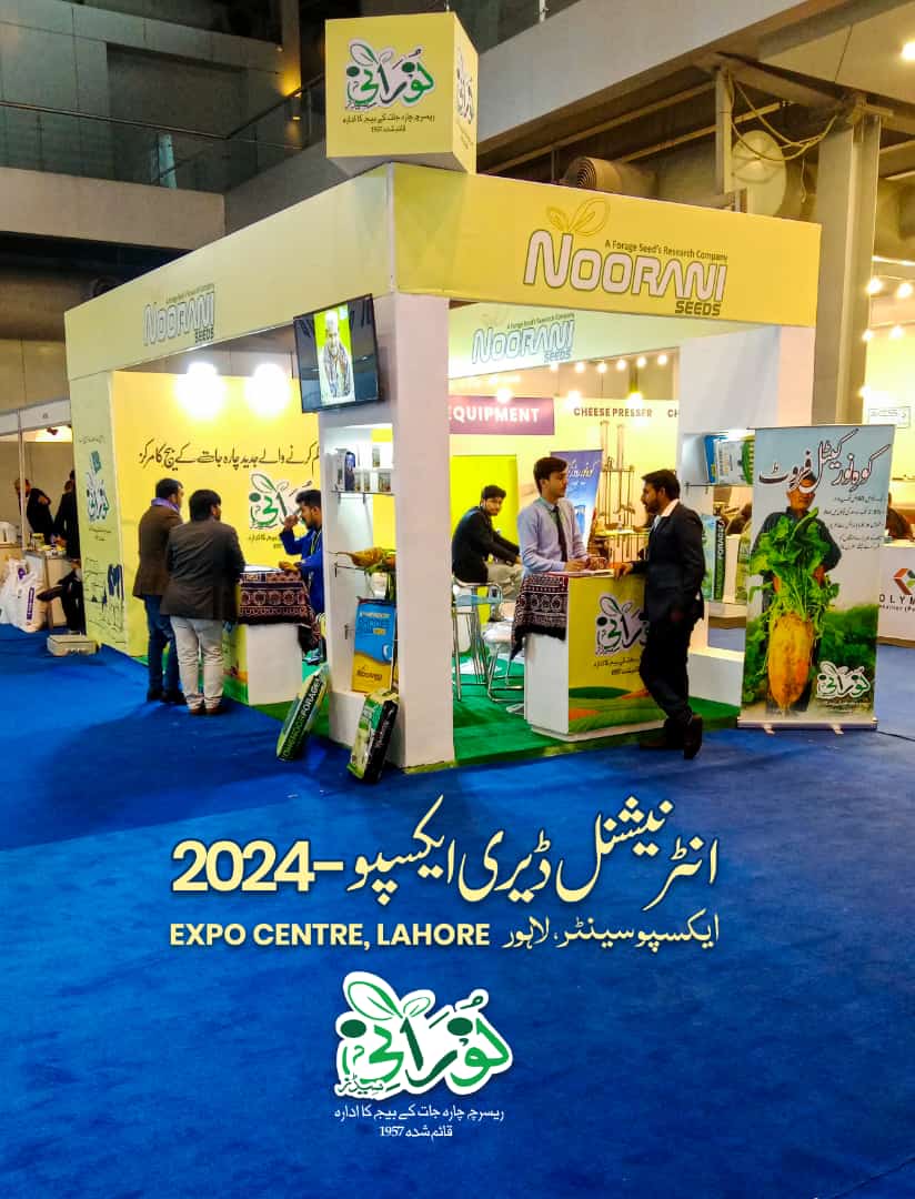 KOHENOOR International exhibition presence in Lahore