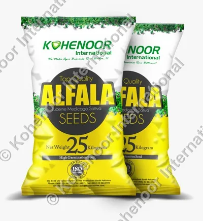 Kohenoor International yellow alfalfa seed bag 25kg ISO certified
