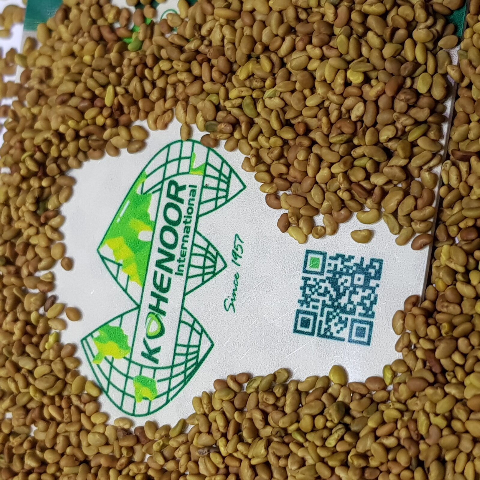 Kohenoor International alfalfa seed brand showcase — premium Pakistani forage