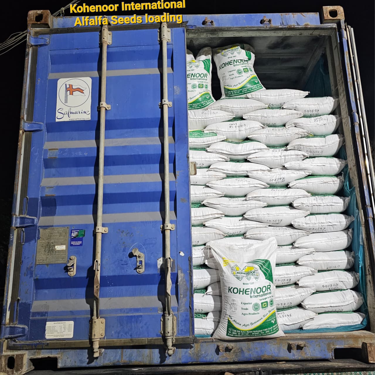 KOHENOOR alfalfa seed FOB Karachi container loading