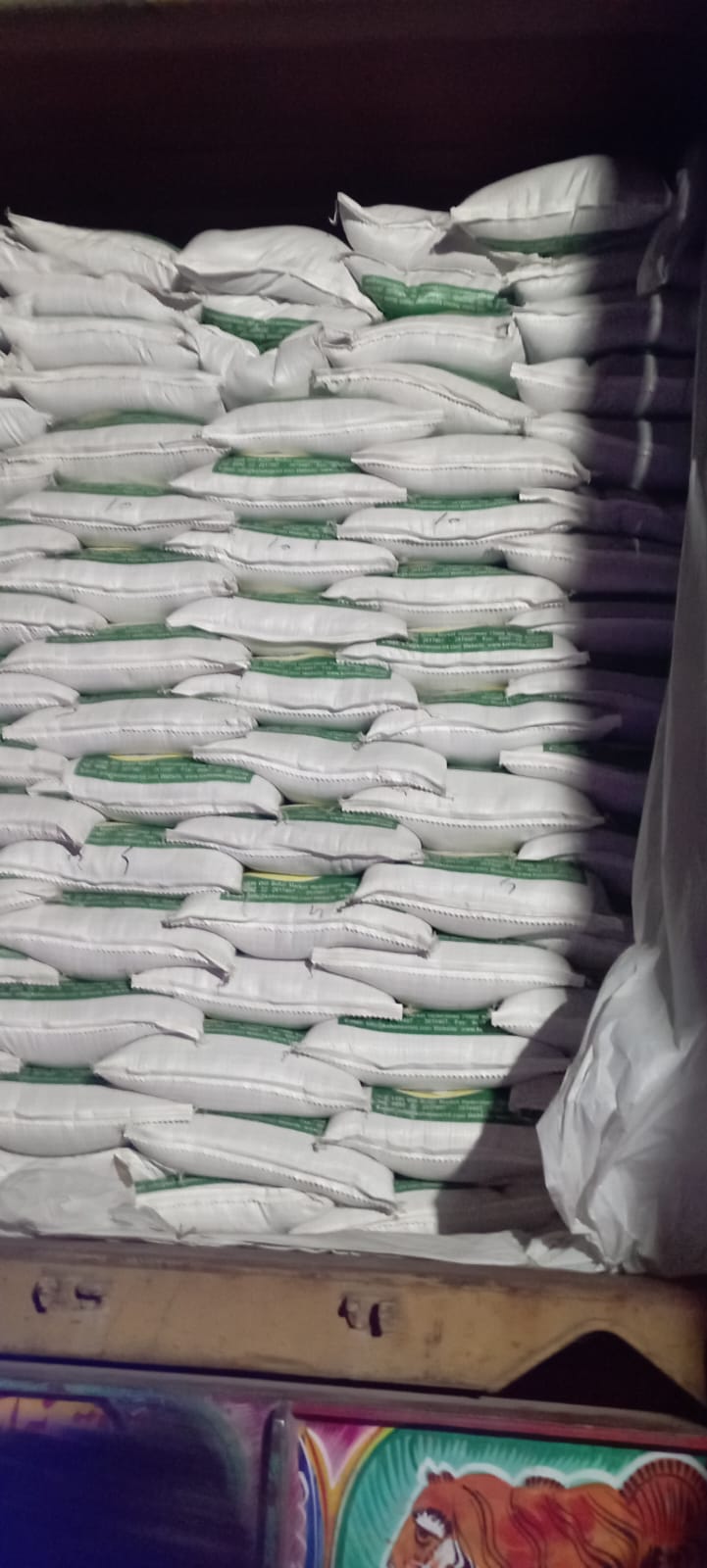 KOHENOOR seed dispatch Karachi - container stuffing
