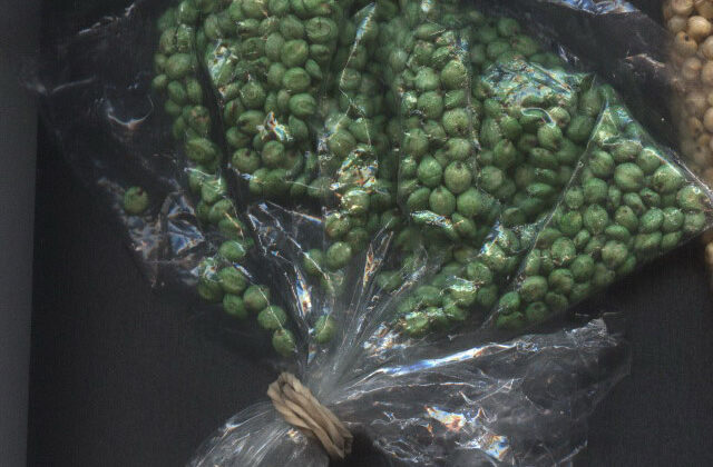 Hybrid sorghum forage grown from Kohenoor seed, a heat-tolerant summer silage crop for dairy farms