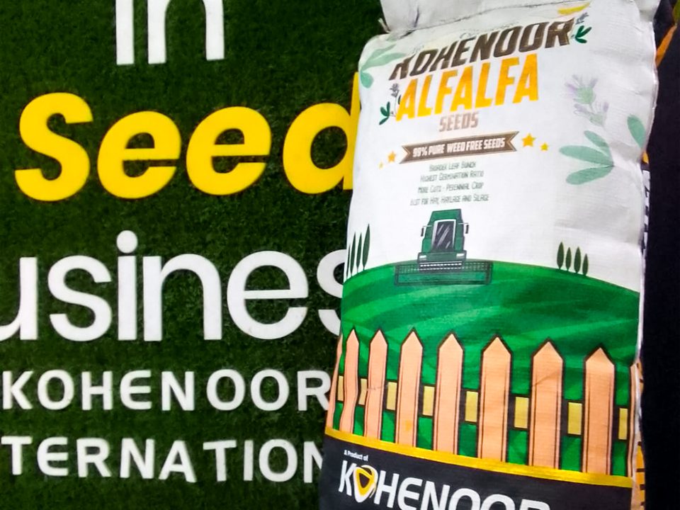 Kohenoor alfalfa seed export bag with sealed lot tag traceable to the ISTA certificate
