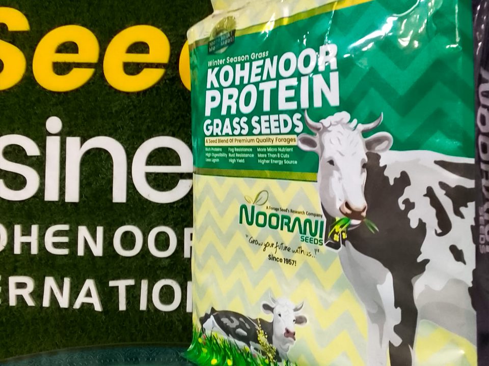 Kohenoor Protein Grass seed bag with sealed lot tag and sowing rate