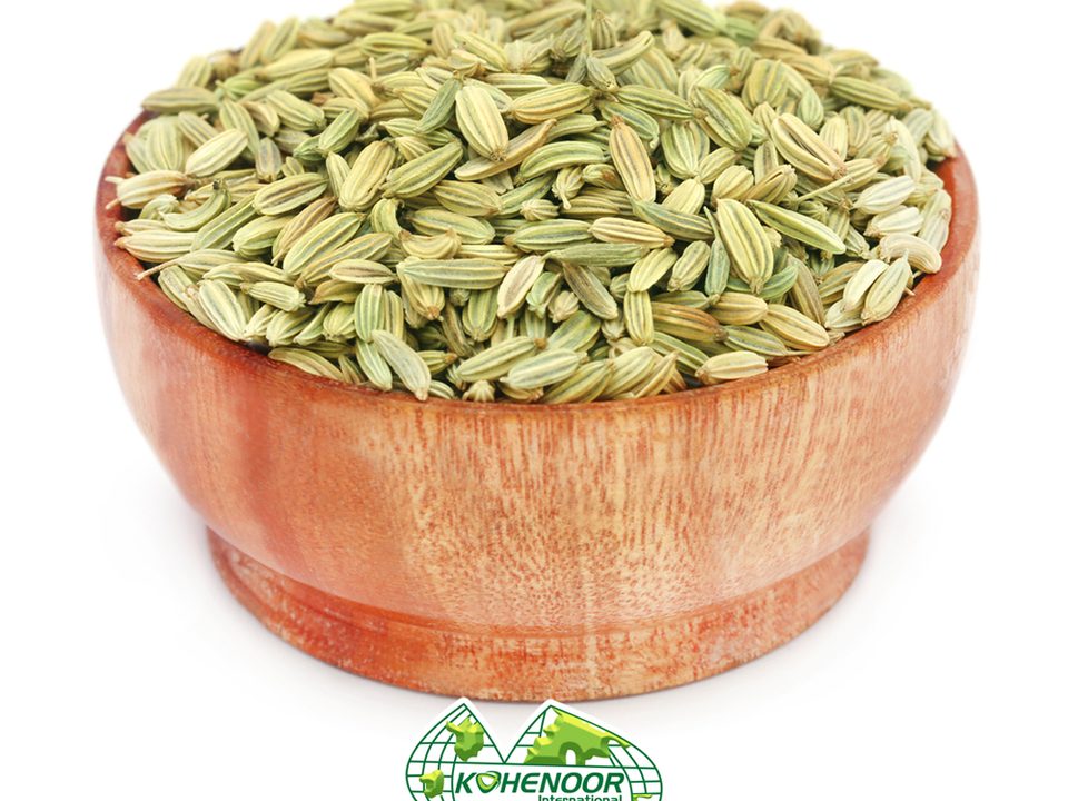 Fennel