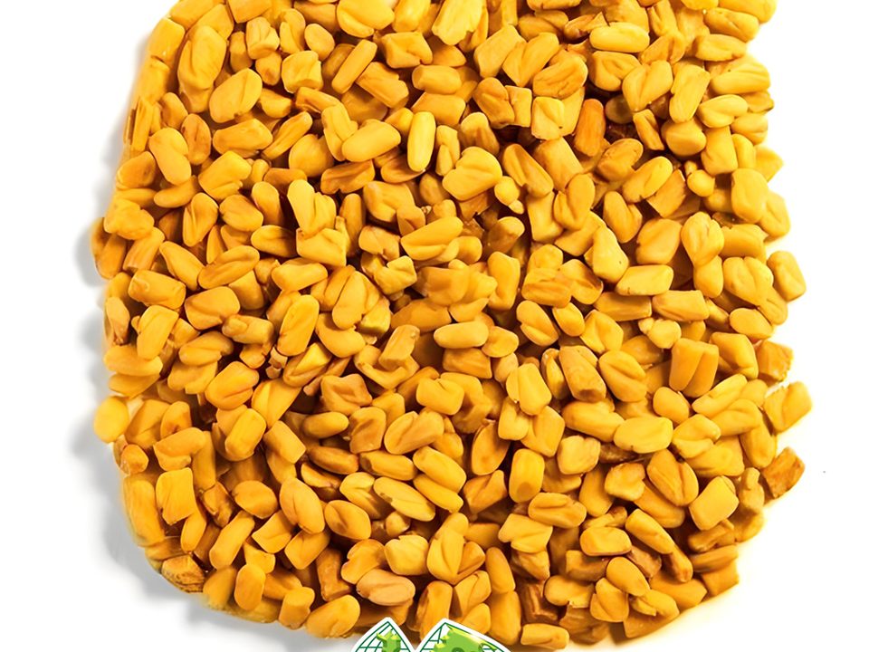 Food-grade fenugreek seed