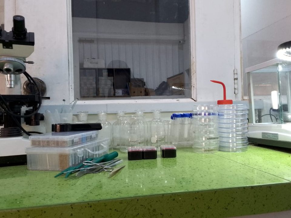 Seed testing laboratory at Kohenoor International, Hyderabad — purity and germination testing before every sprouting lot ships