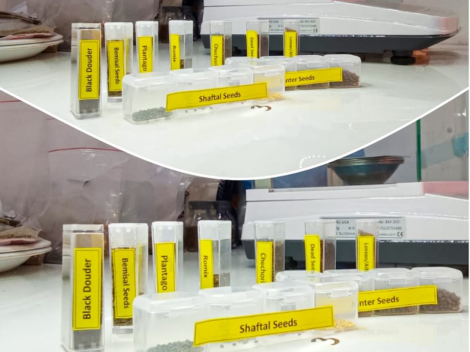 Germination testing in the Kohenoor laboratory