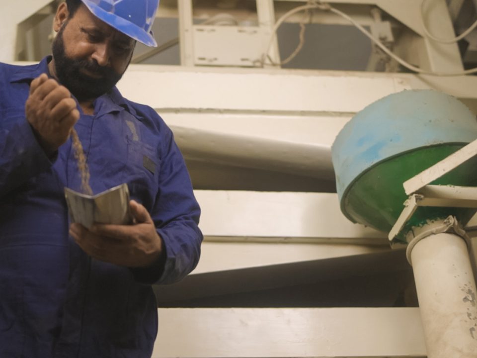 Seed cleaning and processing machinery at Kohenoor International — Sortex-cleaned sprouting lots