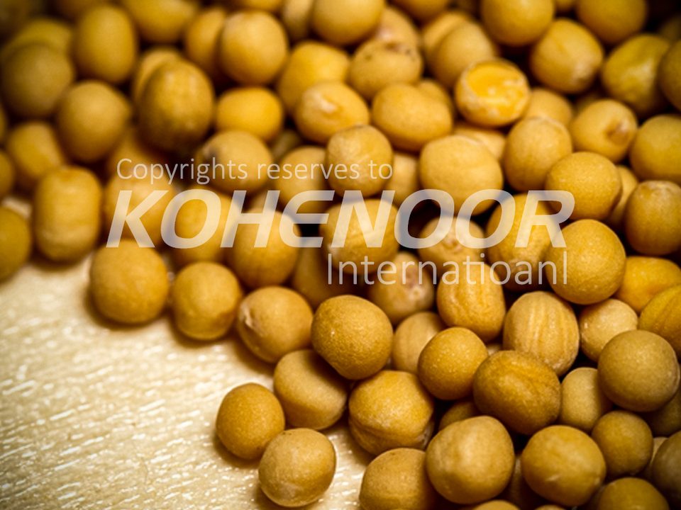 Mustard seed for microgreens