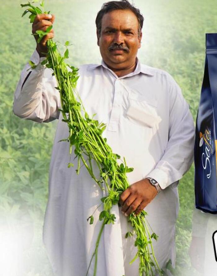 صفاء برسیم